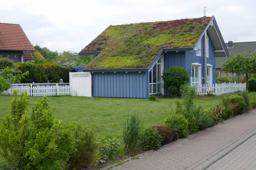 maison avec toiture végétalisée